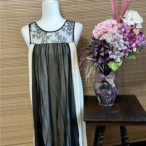 NWT Erin wispy feminine lingerie dress. Lace top